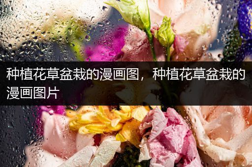 种植花草盆栽的漫画图，种植花草盆栽的漫画图片