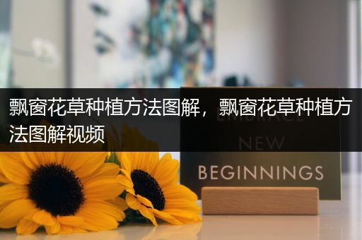 飘窗花草种植方法图解，飘窗花草种植方法图解视频