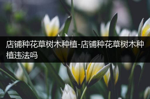 店铺种花草树木种植-店铺种花草树木种植违法吗