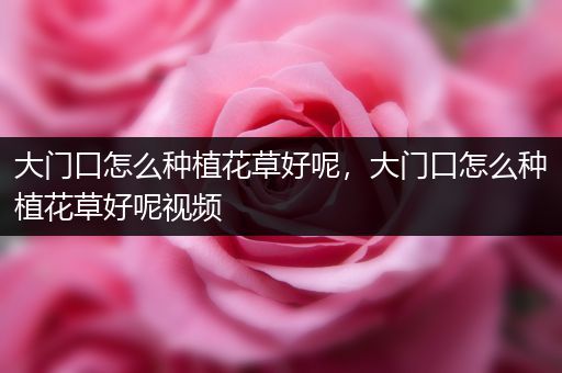 大门口怎么种植花草好呢，大门口怎么种植花草好呢视频