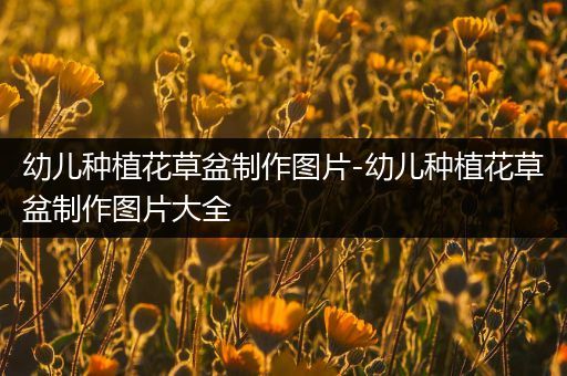 幼儿种植花草盆制作图片-幼儿种植花草盆制作图片大全