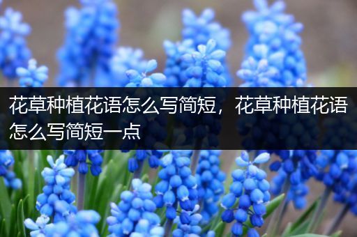 花草种植花语怎么写简短，花草种植花语怎么写简短一点