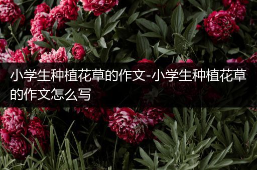 小学生种植花草的作文-小学生种植花草的作文怎么写