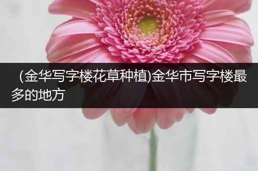 （金华写字楼花草种植)金华市写字楼最多的地方