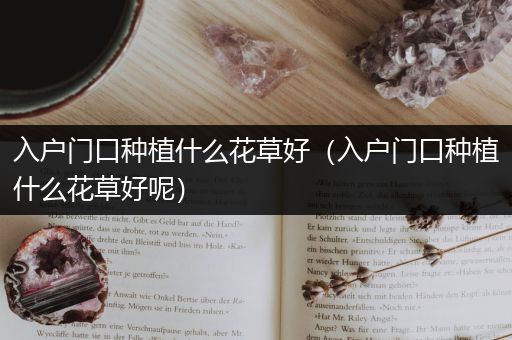 入户门口种植什么花草好（入户门口种植什么花草好呢）