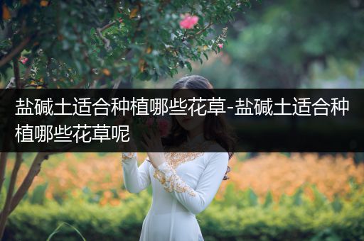 盐碱土适合种植哪些花草-盐碱土适合种植哪些花草呢
