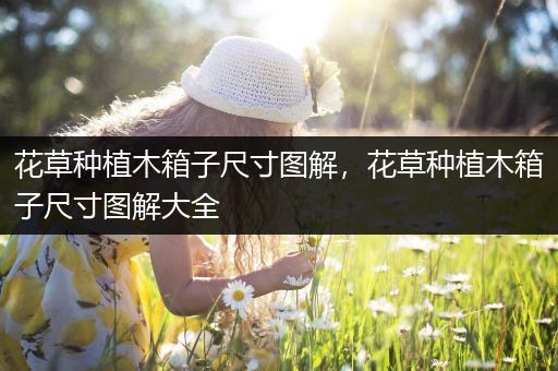 花草种植木箱子尺寸图解，花草种植木箱子尺寸图解大全