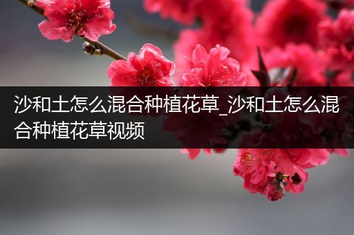 沙和土怎么混合种植花草_沙和土怎么混合种植花草视频
