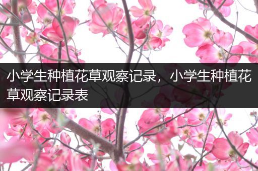 小学生种植花草观察记录，小学生种植花草观察记录表