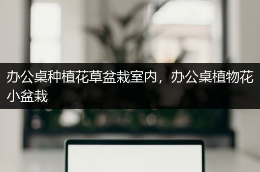 办公桌种植花草盆栽室内，办公桌植物花小盆栽