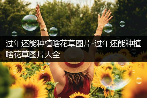 过年还能种植啥花草图片-过年还能种植啥花草图片大全