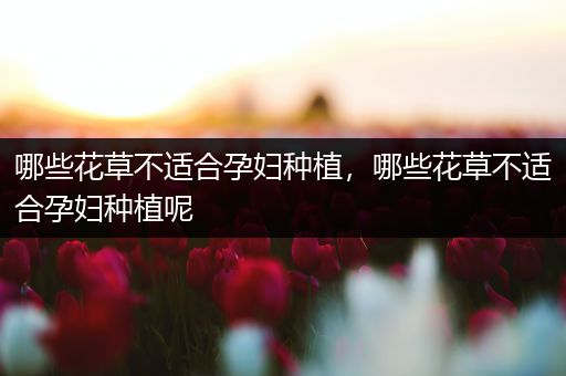 哪些花草不适合孕妇种植，哪些花草不适合孕妇种植呢