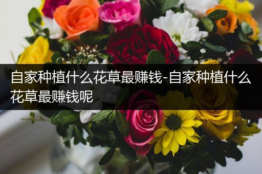 自家种植什么花草最赚钱-自家种植什么花草最赚钱呢