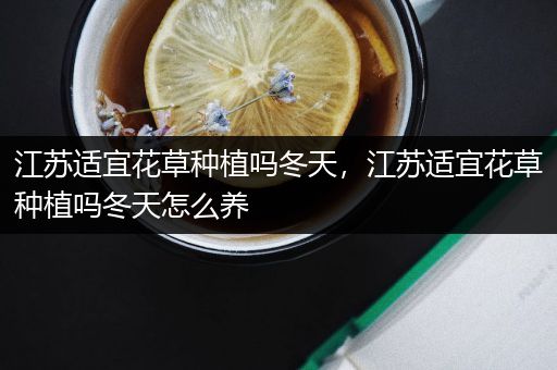 江苏适宜花草种植吗冬天，江苏适宜花草种植吗冬天怎么养