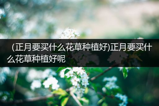 （正月要买什么花草种植好)正月要买什么花草种植好呢