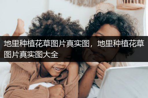 地里种植花草图片真实图，地里种植花草图片真实图大全