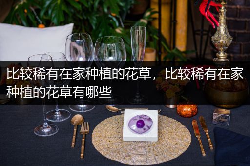 比较稀有在家种植的花草，比较稀有在家种植的花草有哪些