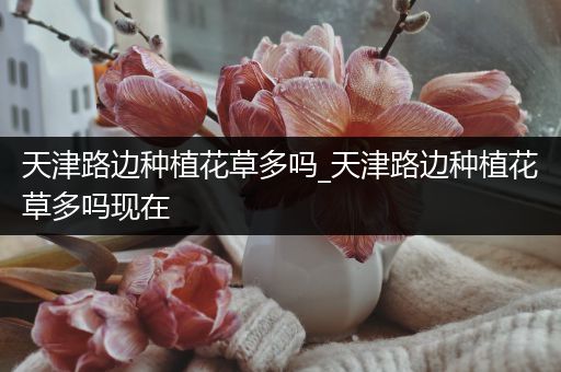 天津路边种植花草多吗_天津路边种植花草多吗现在