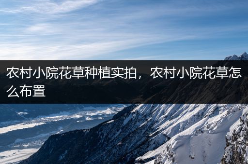 农村小院花草种植实拍，农村小院花草怎么布置