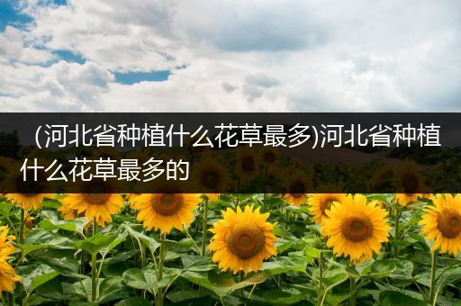 （河北省种植什么花草最多)河北省种植什么花草最多的