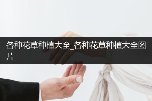 各种花草种植大全_各种花草种植大全图片