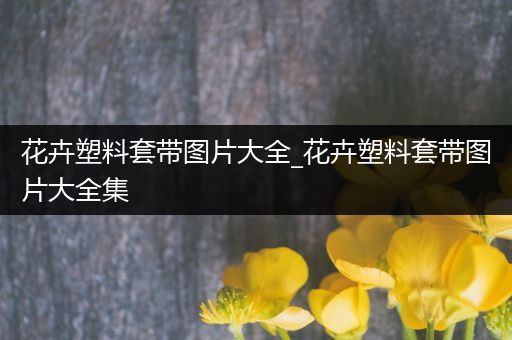 花卉塑料套带图片大全_花卉塑料套带图片大全集
