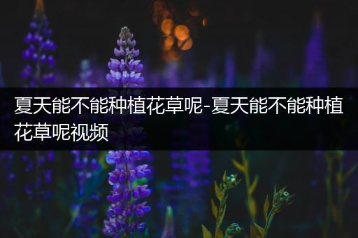 夏天能不能种植花草呢-夏天能不能种植花草呢视频