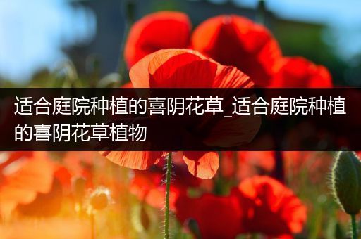 适合庭院种植的喜阴花草_适合庭院种植的喜阴花草植物