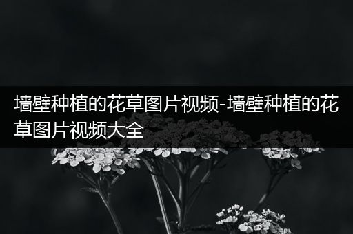 墙壁种植的花草图片视频-墙壁种植的花草图片视频大全