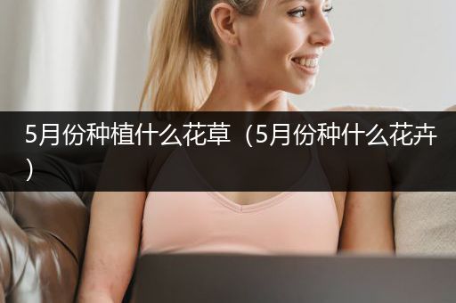 5月份种植什么花草（5月份种什么花卉）