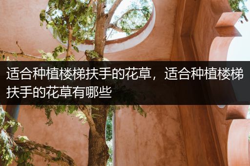 适合种植楼梯扶手的花草，适合种植楼梯扶手的花草有哪些