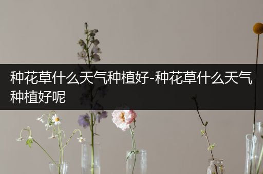 种花草什么天气种植好-种花草什么天气种植好呢