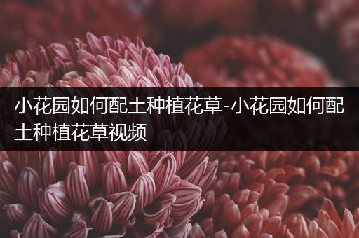 小花园如何配土种植花草-小花园如何配土种植花草视频