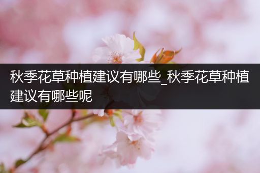 秋季花草种植建议有哪些_秋季花草种植建议有哪些呢