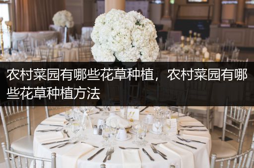 农村菜园有哪些花草种植，农村菜园有哪些花草种植方法