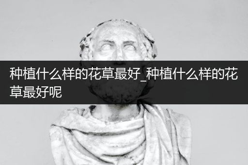 种植什么样的花草最好_种植什么样的花草最好呢