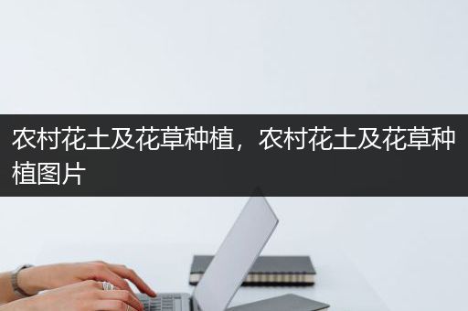 农村花土及花草种植，农村花土及花草种植图片