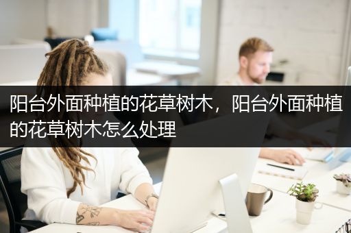 阳台外面种植的花草树木，阳台外面种植的花草树木怎么处理