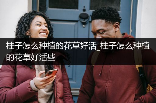 柱子怎么种植的花草好活_柱子怎么种植的花草好活些