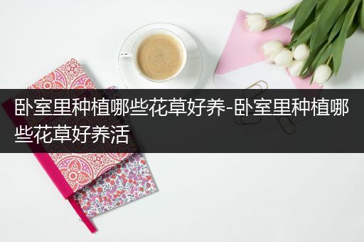 卧室里种植哪些花草好养-卧室里种植哪些花草好养活
