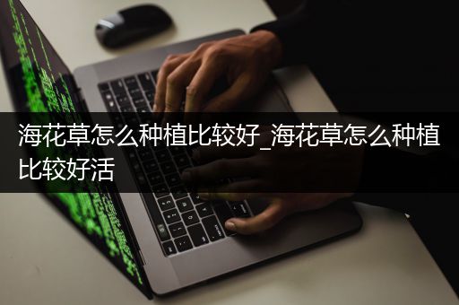 海花草怎么种植比较好_海花草怎么种植比较好活