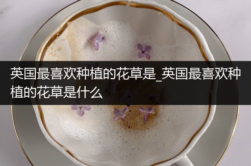英国最喜欢种植的花草是_英国最喜欢种植的花草是什么
