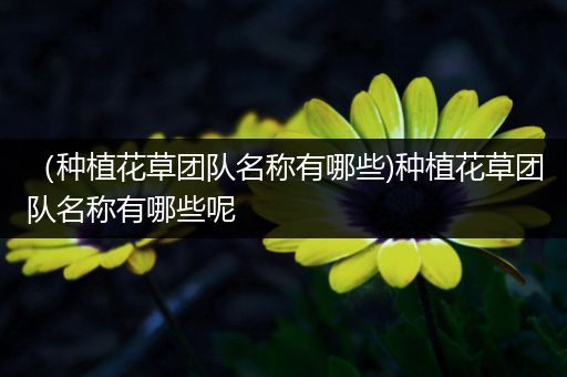 （种植花草团队名称有哪些)种植花草团队名称有哪些呢
