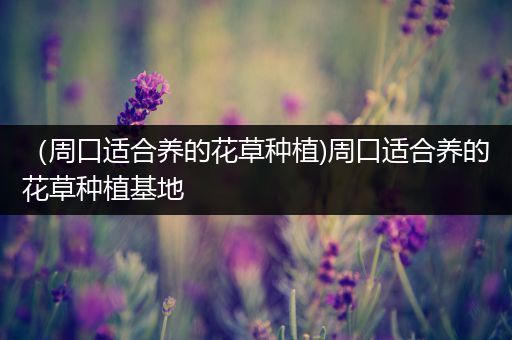 （周口适合养的花草种植)周口适合养的花草种植基地
