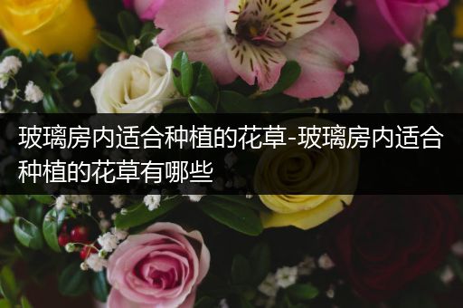 玻璃房内适合种植的花草-玻璃房内适合种植的花草有哪些