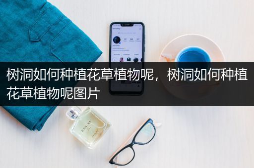 树洞如何种植花草植物呢，树洞如何种植花草植物呢图片