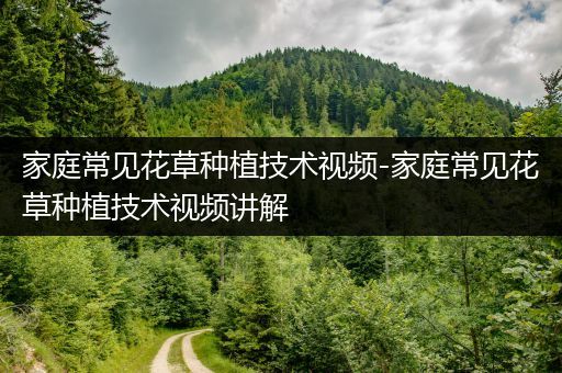 家庭常见花草种植技术视频-家庭常见花草种植技术视频讲解