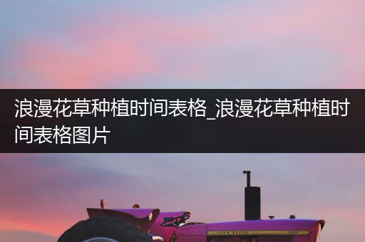 浪漫花草种植时间表格_浪漫花草种植时间表格图片
