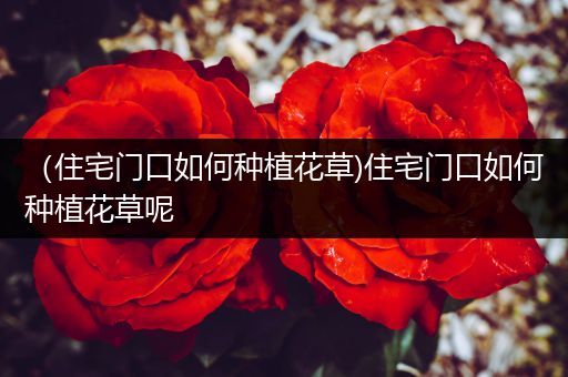 （住宅门口如何种植花草)住宅门口如何种植花草呢
