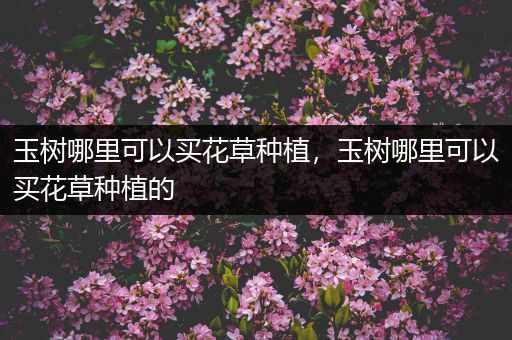 玉树哪里可以买花草种植，玉树哪里可以买花草种植的